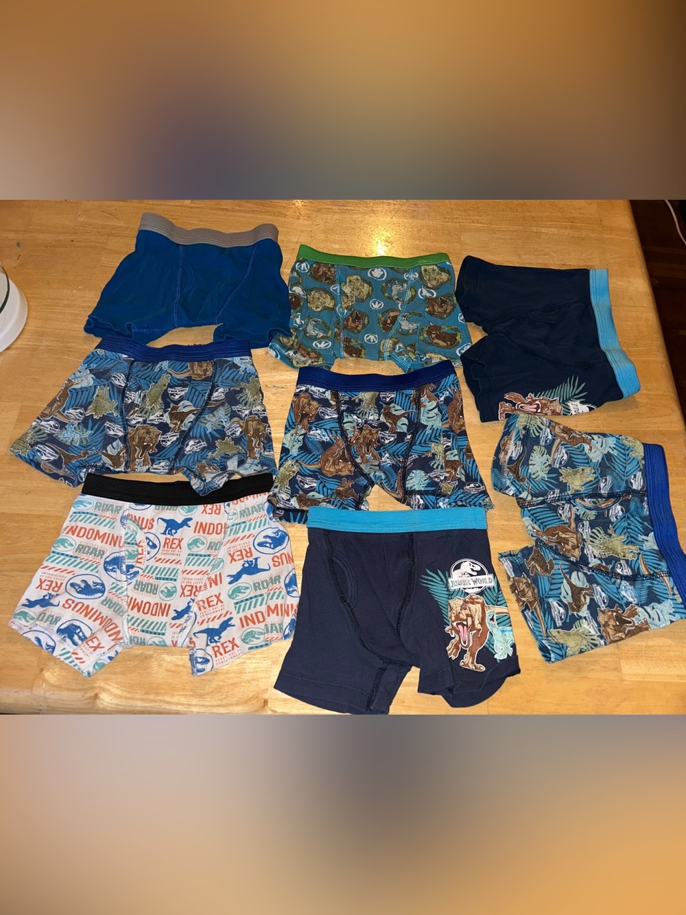 youth kid boys underwear sz 6  Jurassic world Jurassic park  boxer shorts dinosa